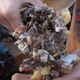 How To Keep Rodents' Nests Out Of Your Long-Term Parked Car